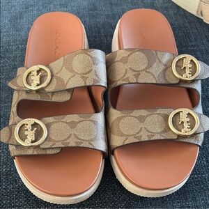 Brown Patterned Sandals with Gold Buckles